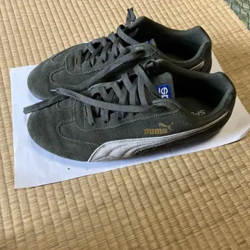 Puma 스피도 캣 스파르코