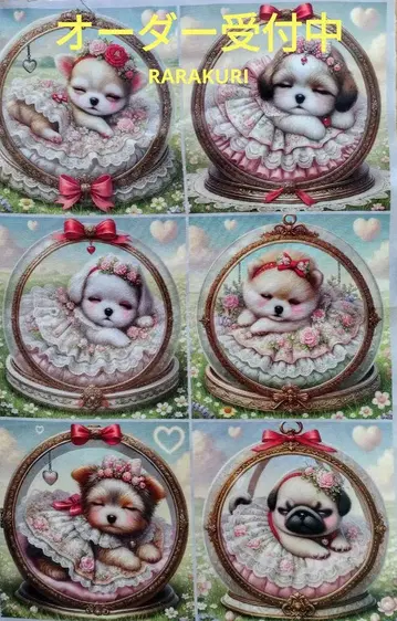 치와와, 시즈, 말티즈, 포메라니안, 요키, 퍼그 패널 오더 접수 중