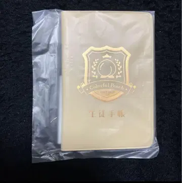 컬러풀 피치 학생 수첩풍 메모장 카라피치 파라다이스 2025