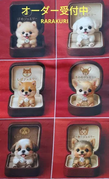 포메라니안, 말티즈, 시바견, 치와와, 시즈, 요키 패널 오더 접수 중