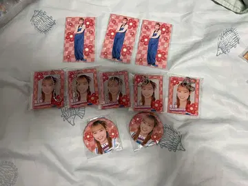 하시사코 스즈 안주루무 체크 ver. 모바 가챠 굿즈