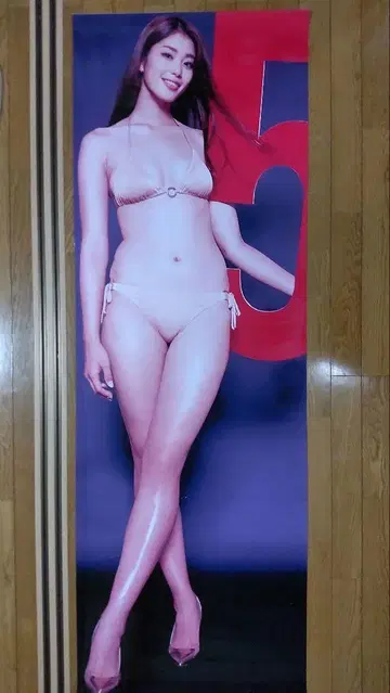 이나무라 아미 등신대 포스터
