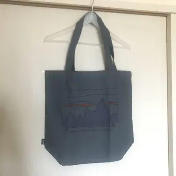 파타고니아 토트백