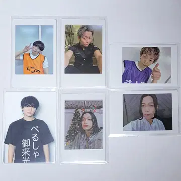 강아지 강아지 고양이 고양이 강아지 고양이 하피카/트레이딩 카드