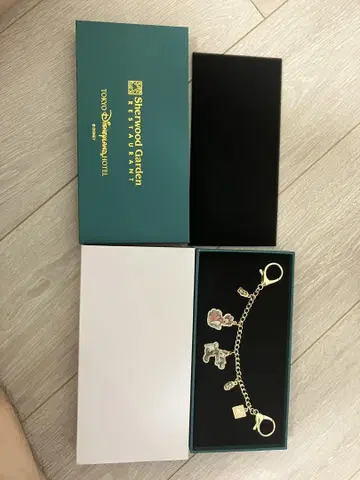 도쿄 디즈니랜드 호텔 셔우드 가든 참