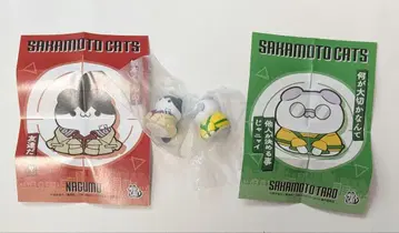 사카모토 데이즈 mega cat 나구모 사카모토