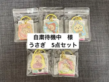 자제 대기 중 토끼 5점