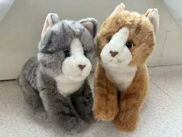 고양이 봉제 인형 고양이 살롱 파란 눈 그레이 2마리 고양이