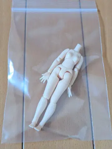 피코니모 S 화이트 스킨 현상품 바디 아존 azone 커스텀 릴리 등