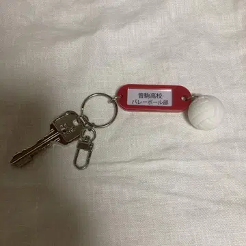 하이큐 트레이딩 고등학교 이름이 들어간 열쇠 참 키링 네코마 고교