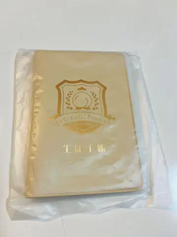 컬러풀 피치 학생 수첩풍 메모장 카라피치 파라다이스 2025