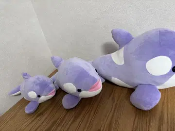 고베 씨월드 오루카 복권 라벤더