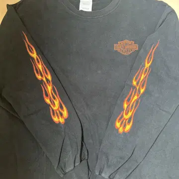 00s HARLEY DAVIDSON 할리 프레임 파이어 롱 T