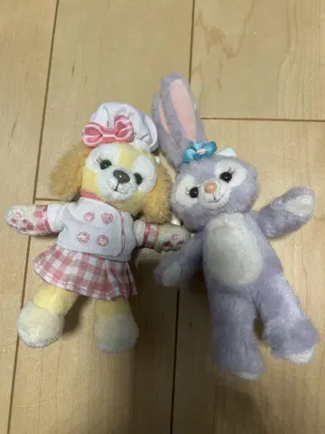 디즈니 씨 쿠키 앤 스텔라 루 봉제 인형 배치