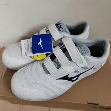 Mizuno 안전화