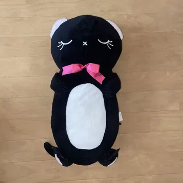 고양이 봉제 인형 블랙과 화이트