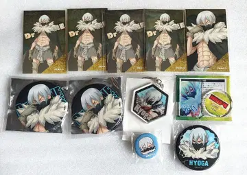 Dr.STONE 히가시츠키 이시이타 키링 캔뱃지 캐릭터 컬렉션
