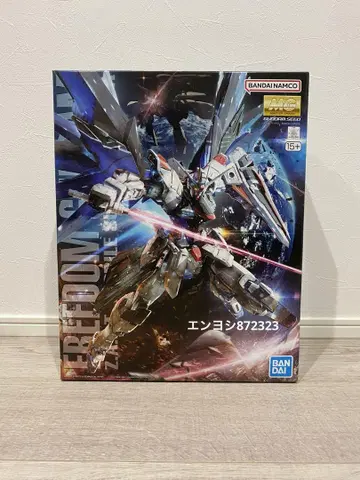 MG 1/100 프리덤 건담 Ver.2.0
