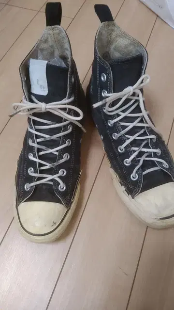 컨버스 척 테일러 엔할리우드