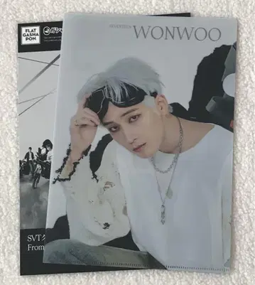 Face the Sun SVT 클리어 파일 컬렉션 원우