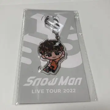 Snow Man 무카이 코지 스노우 칠 교수형 시리즈 아크릴 키링