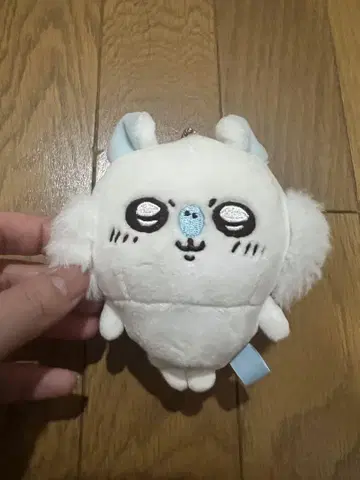 모몽가 키링
