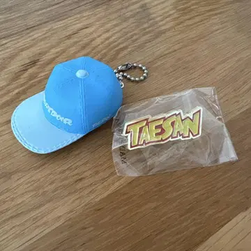 TAESAN 캡 타입 키링 핀 배지