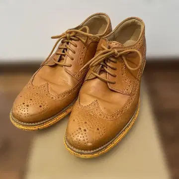 콜한 브라운 가죽 윙 칩 신발