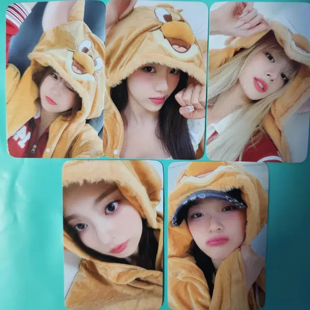 프로미스나인 제리ver 앨범+포카 팝니다