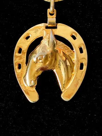 Horse horseshoe 호스 슈 gold 롱 목걸이 i82