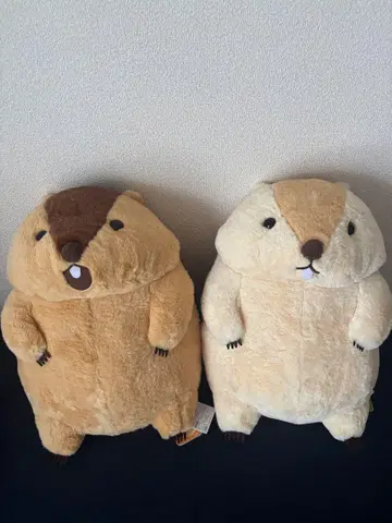 마모트의 모토토 mottoto 울트라 BIG 봉제 인형