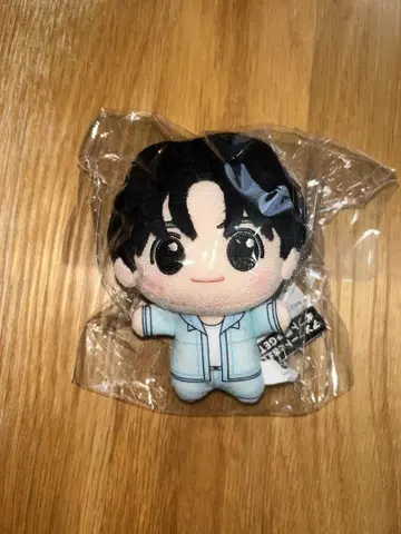 TWS 투아스 SD 인형 HANJIN 한진