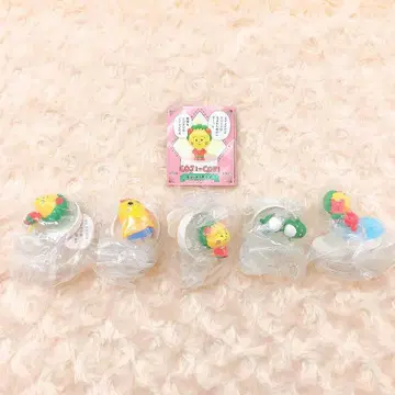 코지코지 명언 피규어 전 5종 풀 컴프