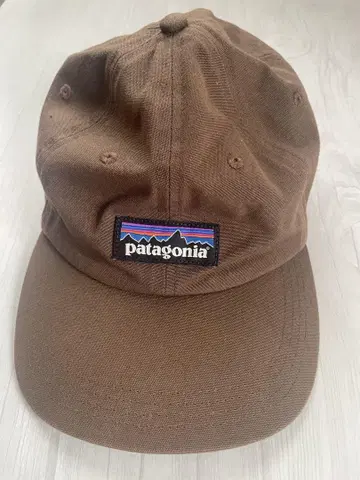 Patagonia 브라운 캡 로고 포함