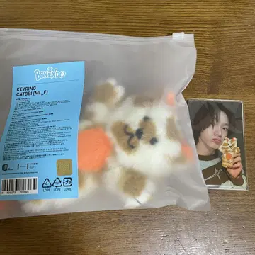 BOYNEXTDOOR 보넥도 키링 성호 CATBBI