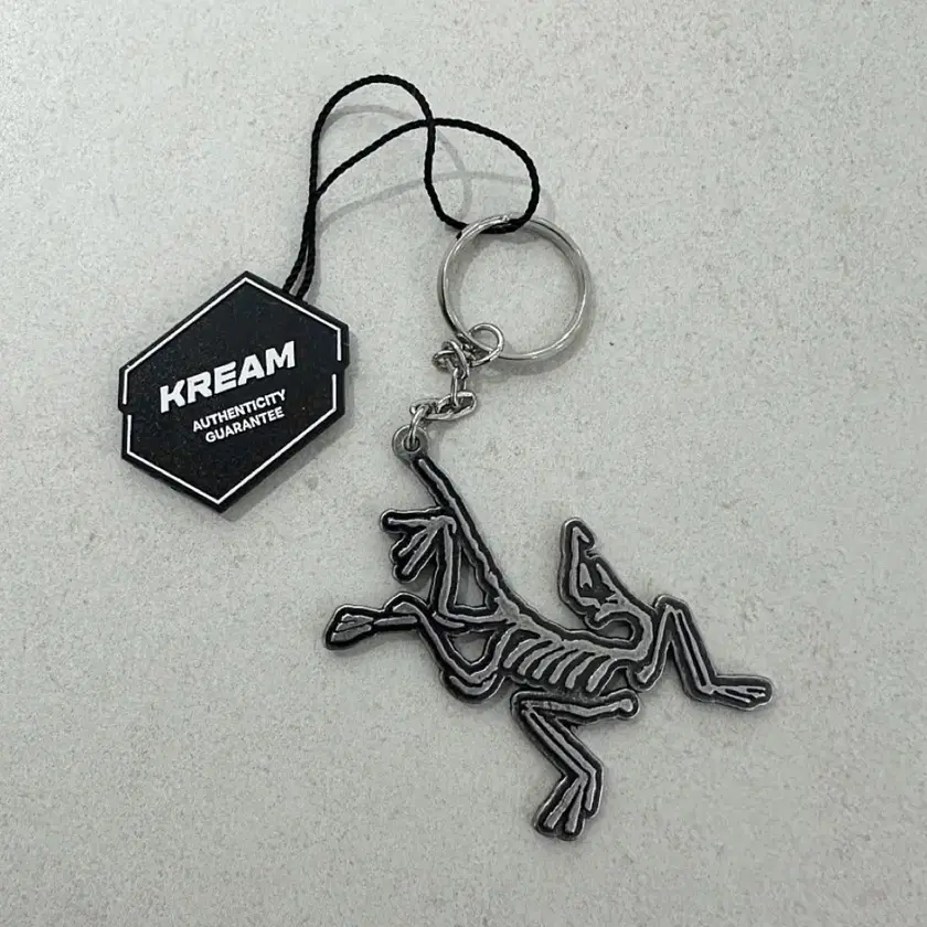 ARC'TERYX | 아크테릭스 Arc'teryx Key Ring on Bunjang Global