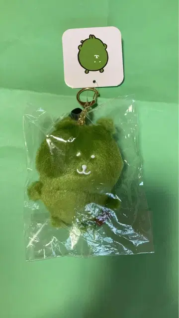 나가노 캐릭터 컬러풀한 나가노의 곰 마스코트 말차
