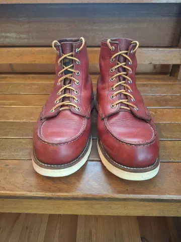 REDWING 레드윙 875 반원형 개 태그