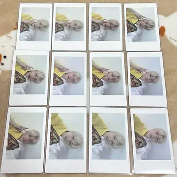 팬더 드래곤 파라곤 하피카 요타