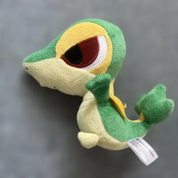 츠타자 포케돌