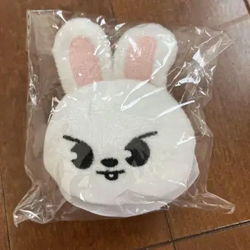 Straykids 리노 한리 비트 마그넷