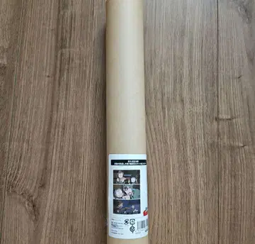닌자 타마 란타로 포스터