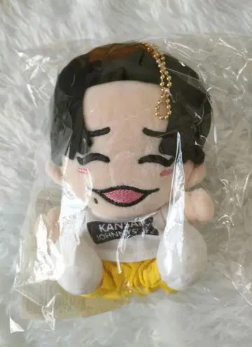 치비누이 나니와단시 나가오 켄토