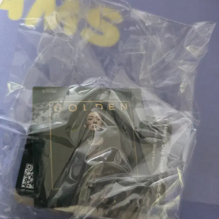 BTS FESTA 2025 CAPSULE GOLDEN グク F828（2025 Bts FESTA