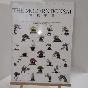 THE MODERN BONSAI 분재우주