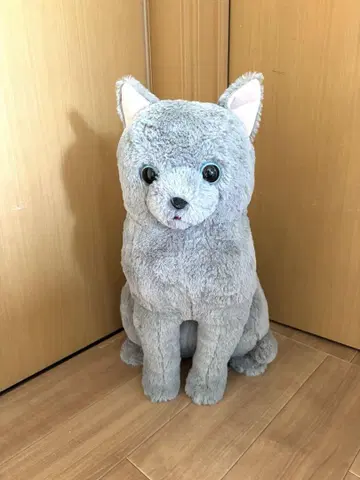 포근 고양이 고마스케(약 45cm)