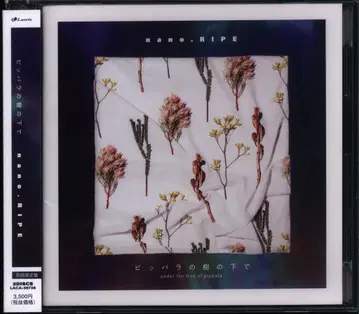 애니메이션 CD nano.RIPE 피파라의 나무 아래에서 초회 한정판