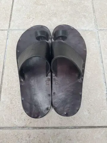 유타 뉴먼 앨리스 7D