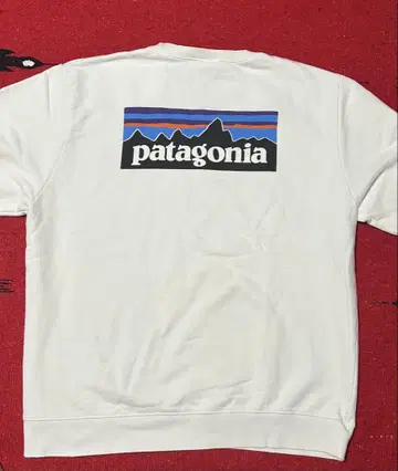 Patagonia 맨투맨