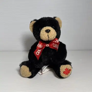 CANADA Wild Wonders 와일드 원더스 곰 봉제 인형